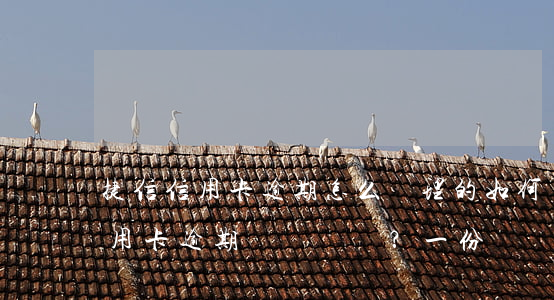 捷信信用卡逾期怎么處理的，如何處理捷信信用卡逾期？一份詳細(xì)的解決方案指南